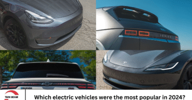 Which electric vehicles were the most popular in 2024?